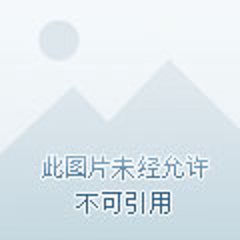 广州视觉AI行业的创新实践与未来趋势